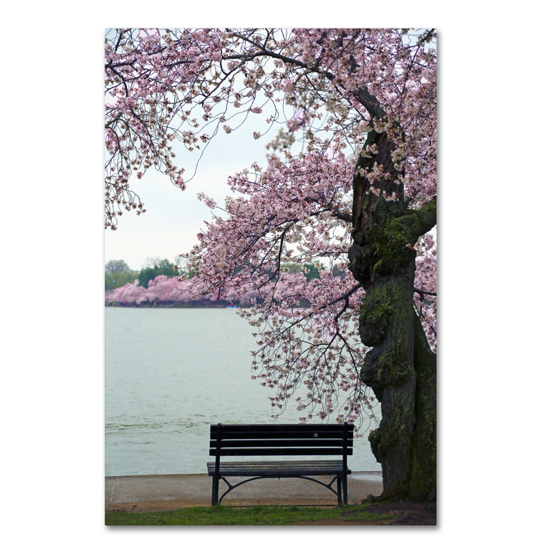 Tranquility, reproduction de photo sur toile tendue, H 24 po x l 16 po x P 2 po