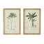 Arbre S / 2, 15,5 po x 23,5 po