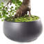 50cm Faux Bonsai Plant in Ceramic Pot