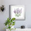 Lavande botanique II - peinture encadrée-481411732-481411729