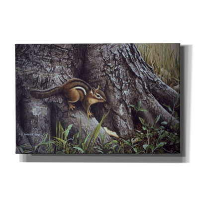 " Wary Glance " by Ron Parker