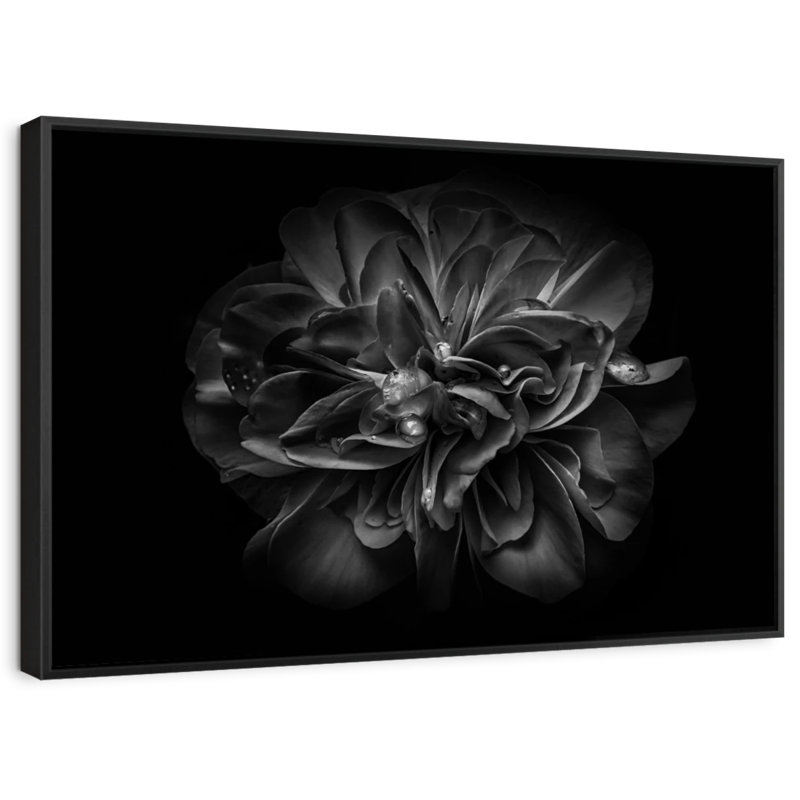 Floral et botanique "Fleurs de jardin BW III", H 9 po x l 13 po