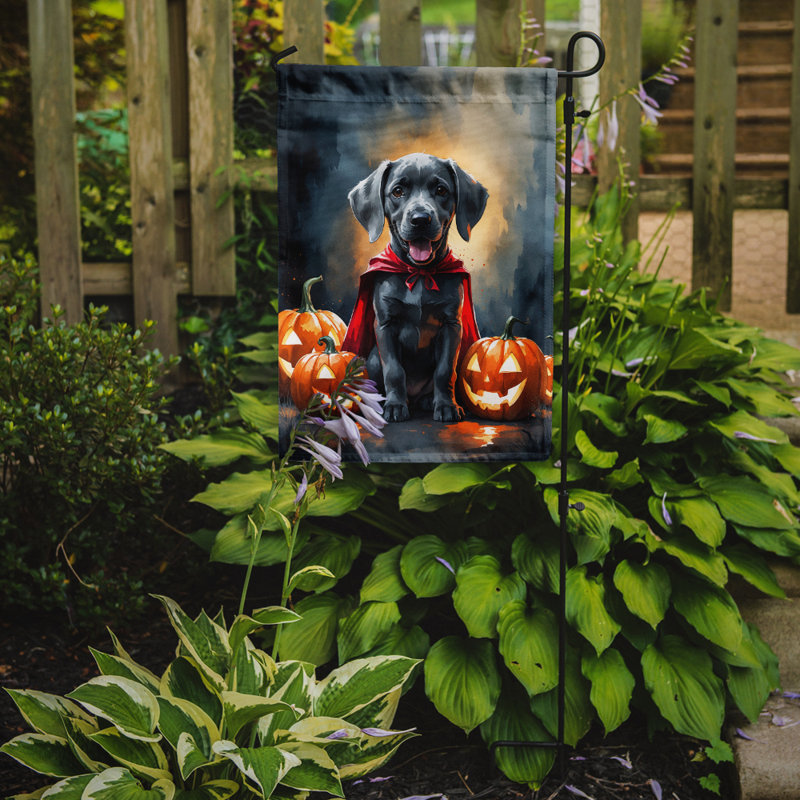 Drapeau de jardin chiot Halloween, Weimaraner