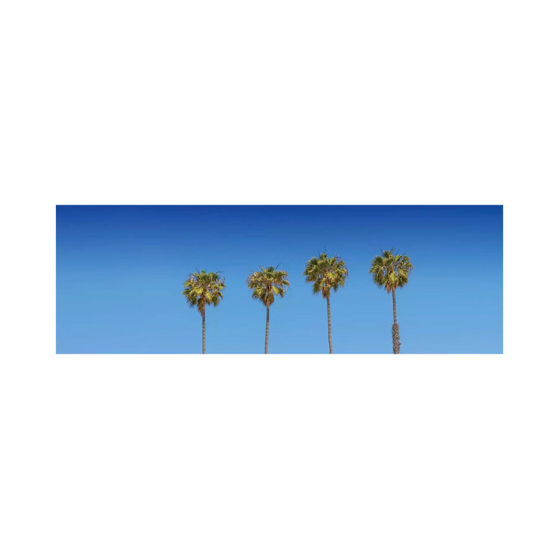 Lovely Palm Trees by Melanie Viola - Wrapped Canvas Panoramic Print, 30.48 cm H x 91.44 cm W x 1.91 cm D