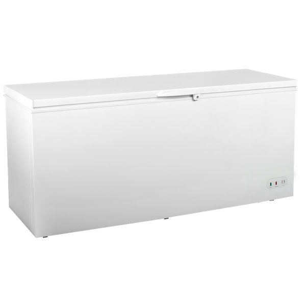 Commercial Deep Chest Freezer For Frozen Food And Meat Storage