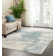 Abstract Indoor Rug
