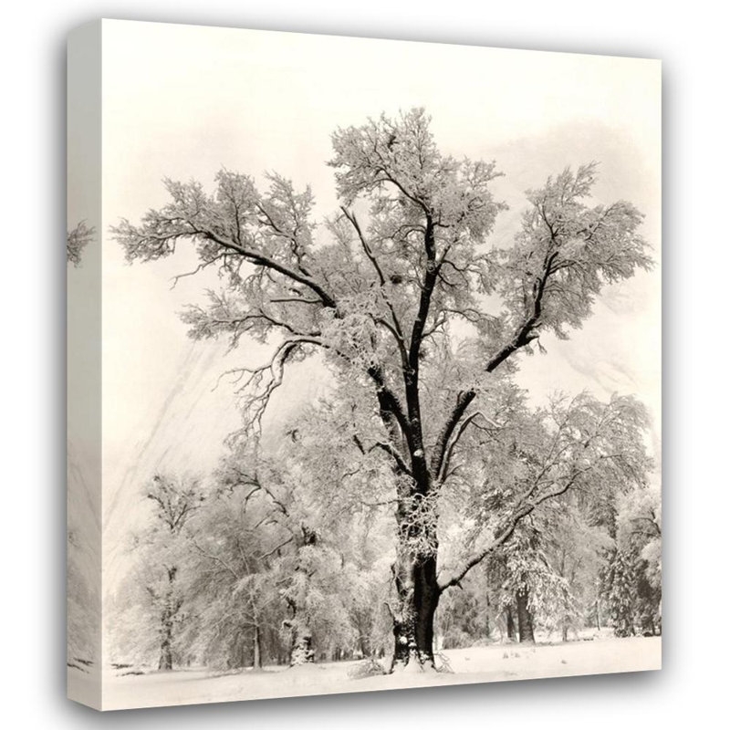 Oak Tree, 18" H x 15" W