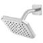 Belshire Showerhead, Pn-60946093