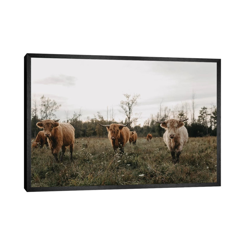 Highland Cows at Sunset 1 Piece Wrapped Canvas Wall Art, 66.04 cm H x 45.72 cm W, Black Framed