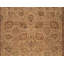 Wool Oriental Area Rug in Gold