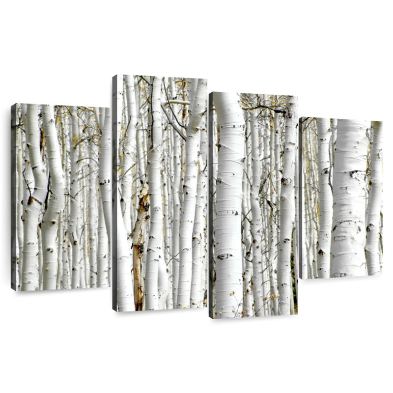 Alvord Birch Wood, 32" H x 52" W
