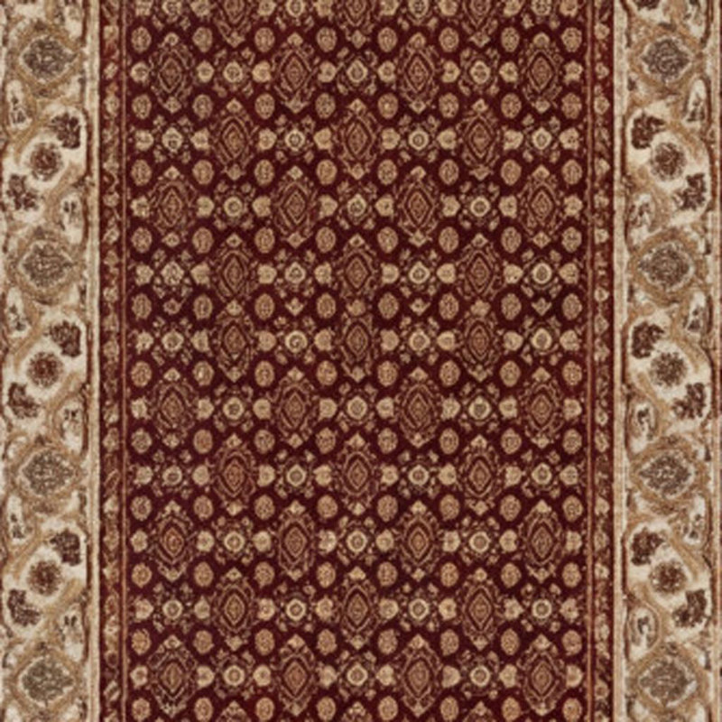 Ahlina Indoor Rug, Runner 2' x 20'