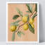 Citrons jaunes - reproduction d'un seul cadre photo-98266915-98266920