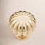 CK Series Knob-12829512
