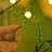 70'' in. Faux Garland