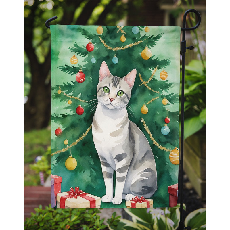 Drapeau de jardin Pixie Bob, European Shorthair