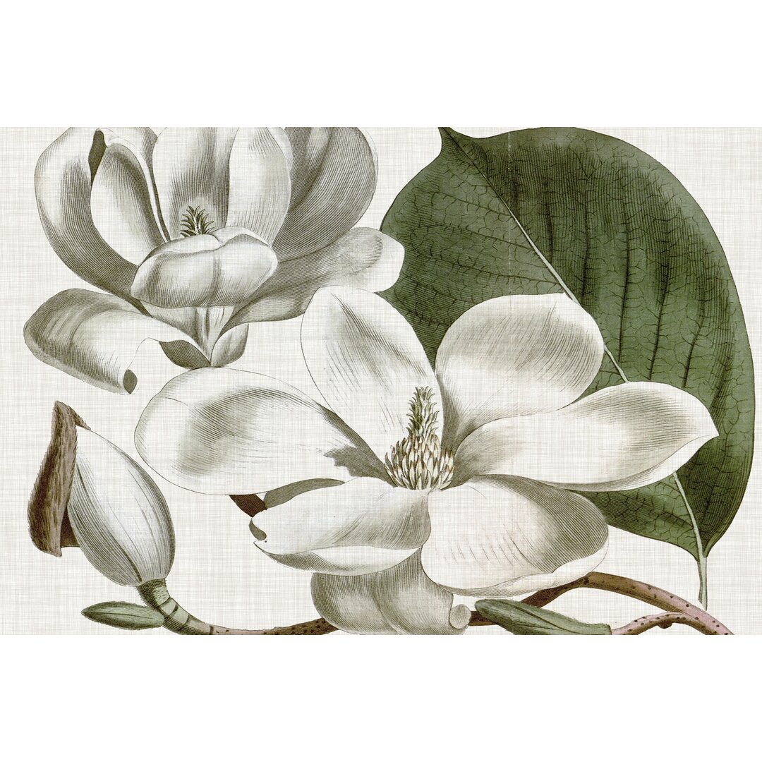 Leinwandbild Curtis-Magnolie I