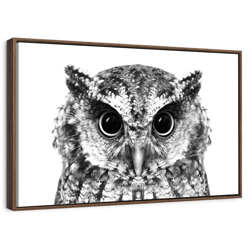 Hibou envoûtant, Cadre flottant blanc, 37 po x 25 po
