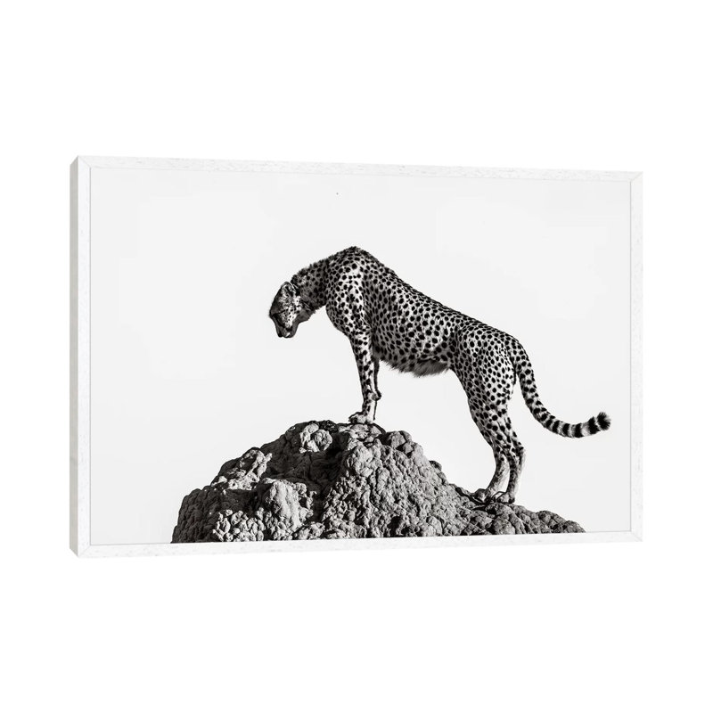 The Hunter by Ali - Print on Canvas, 66.04cm H x 101.6cm W x 3.81cm D, White Floater Framed
