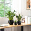 TYHPOT Ceramic Pot Planter-1051147106
