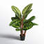 Feuillage artificiel paon en pot