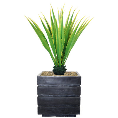 Aislin 48" Artificial Succulent Plant in Planter