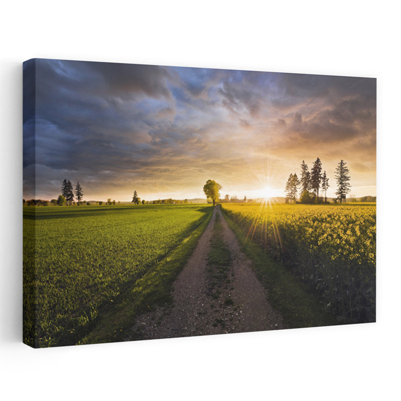 «Summer Meadow Abstract Contemporary Landscape Plant», reproduction d'art murale, H 16 po x l 24 po