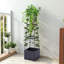 Plant Stand