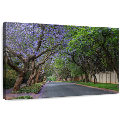 Mehar Jacaranda à Pretoria