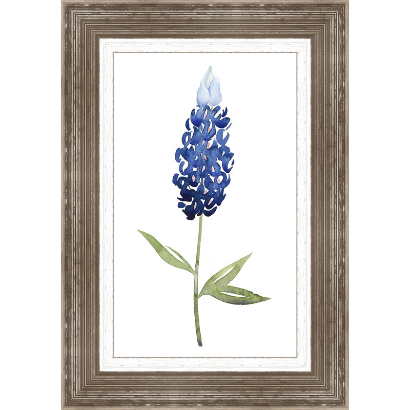 « bluebonnet ii », reproduction d’art encadrée