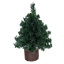 6" Mini Pine Tree 72 Tips Wood Base