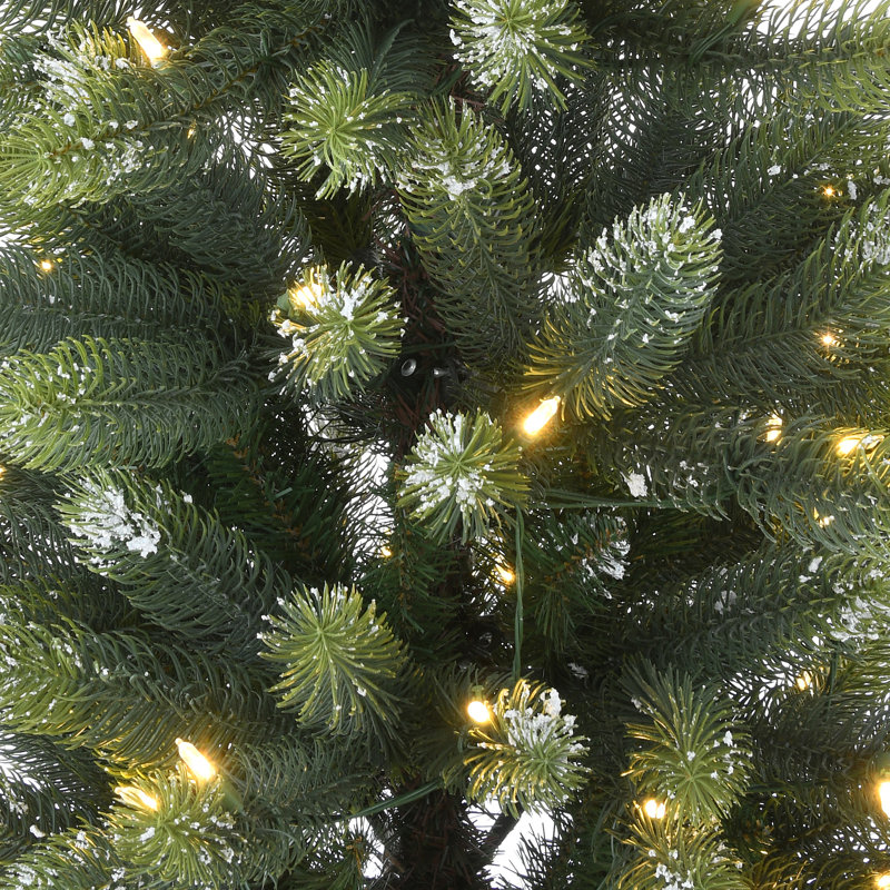 The Holiday Aisle® 4.5 ft. Trinity Spruce Tree with LED Lights