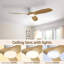 Ventilateur de plafond intelligent avec moteur à courant continu à 3 pales ABS et fonction réversible