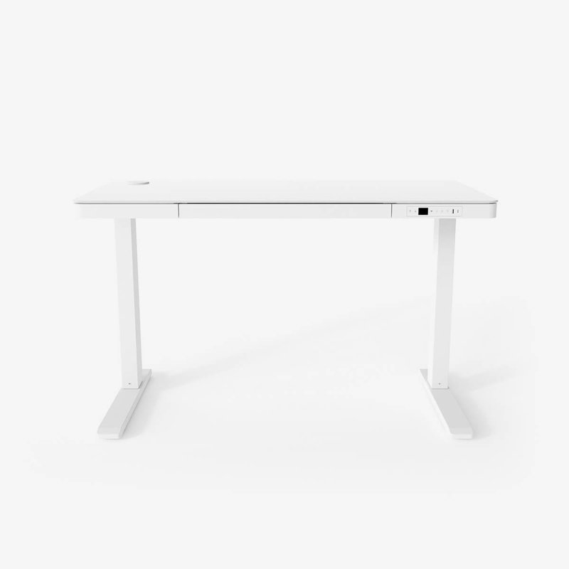 Willsbridge 120Cm W Height Adjustable Rectangular Computer Desk, White
