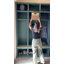 4 Pack Wicker Storage Baskets With 3 Pattern Designs, Woven Rattan Organizer Bins With Handles, Cube Baskets For Shelves