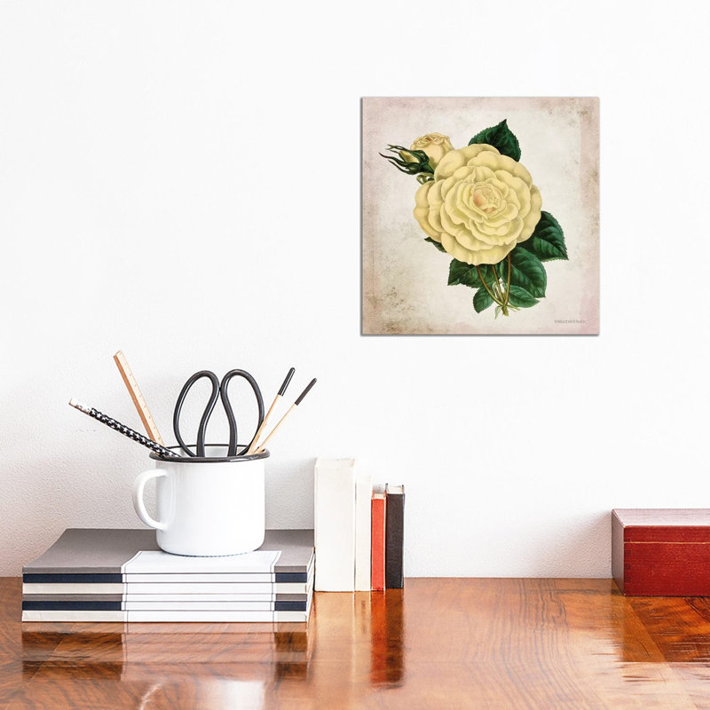 Vintage Cream Rose by Bluebird Barn - Wrapped Canvas Print, 30.48 cm H x 30.48 cm W