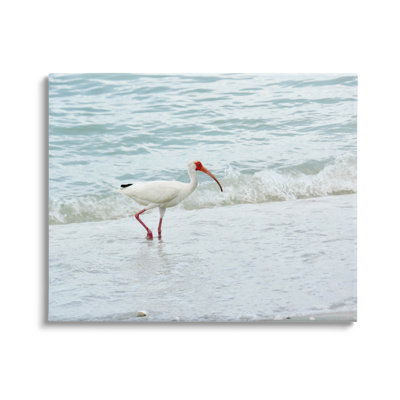«Bird Stepping Sea Waves Splash», art mural par Jairo Rodriguez