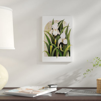 " Iris Vignette " by Marcia Matcham