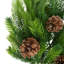 Norfolk Spruce Juniper Spray