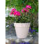 Bojorquez Pot Planter-422402156-422402159