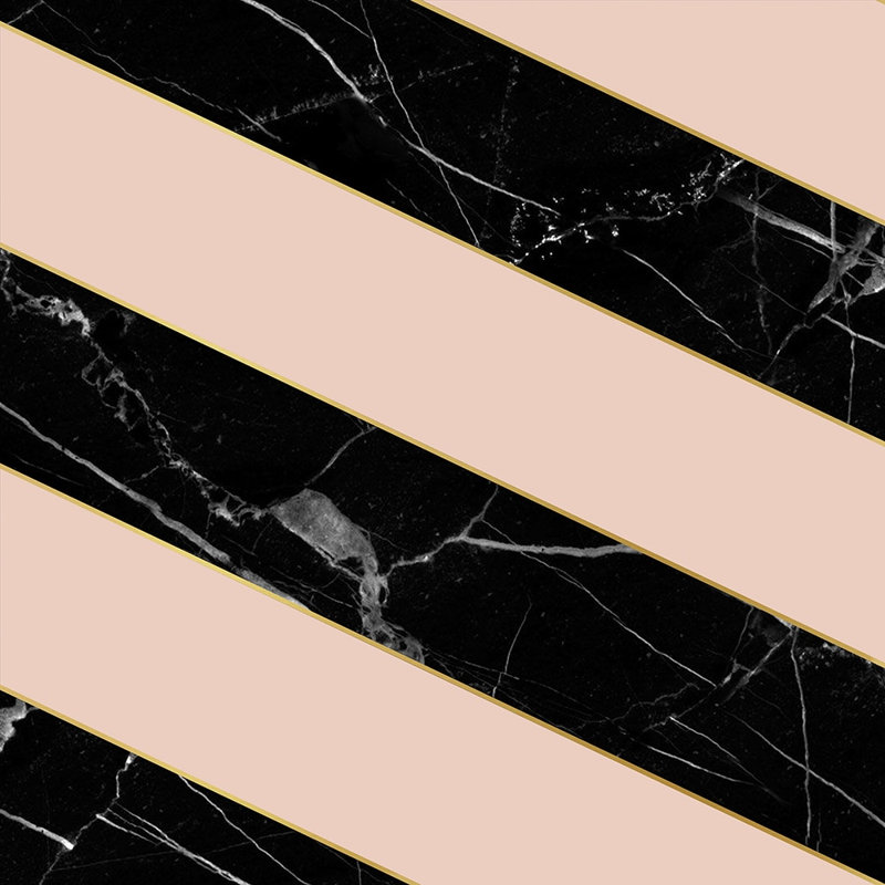Charleen 10m x 52cm Matte Paste the Wall Wallpaper Roll, Black/Pink