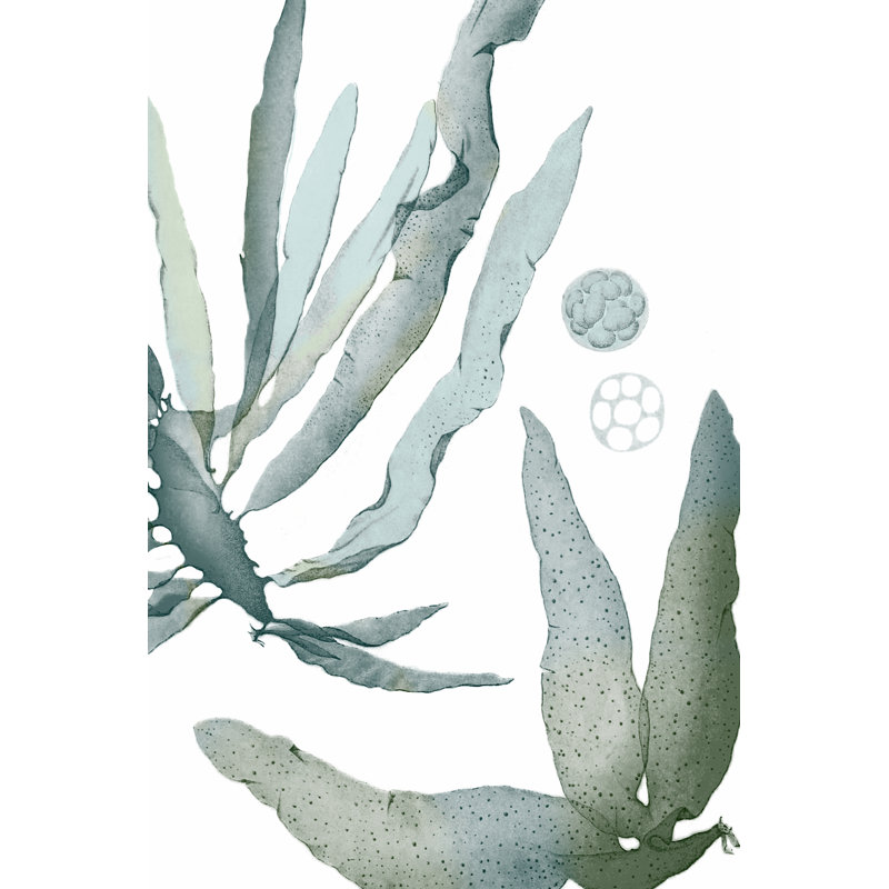 Seaside Seaweed IV 1 Piece Painting on Canvas, 91 cm H x 61 cm W, Black Floater Framed