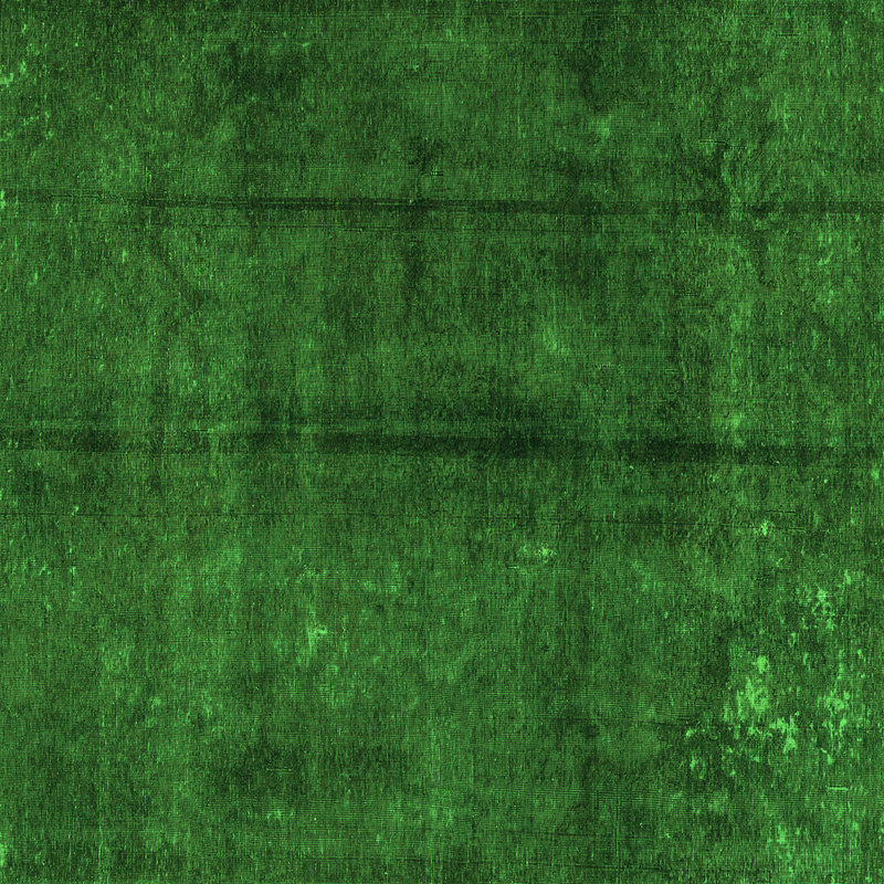 Eluett Performance Oriental Indoor Rug, Square 8'