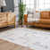 Kaamini Abstract Machine Washable Cream Area Rug