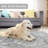 Machine Washable Area Rugs For Living Room Non-Slip Backing Foldable Boho Floral Carpet Rugs-2030690417