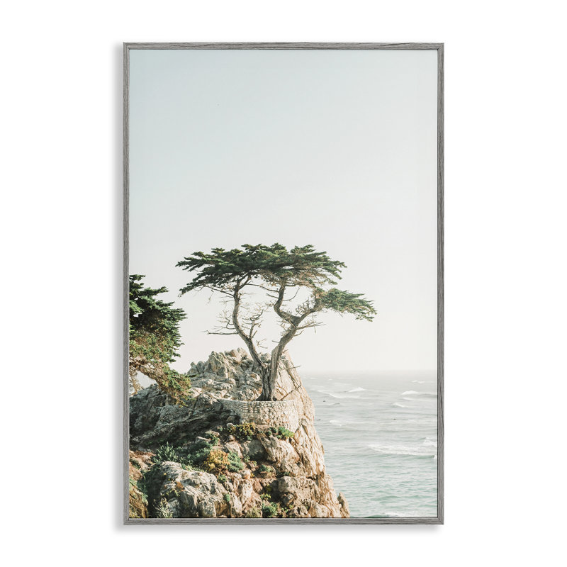 Arbre sur une falaise en bord de plage, estampe numérique par Sissi et Seb, Estampe numérique Farmhouse, H 24 po x l 16 po