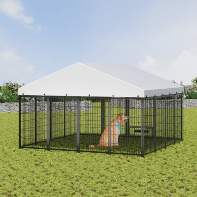 Enclos pour animaux multi-usages - Chenil en métal avec toit 9,62 pi x 9,35 pi x 6,18 h