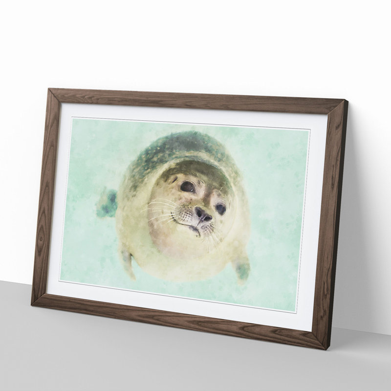 Seal - Picture Frame Graphic Art, Walnut Framed, 27cm H x 36cm W x 2cm D