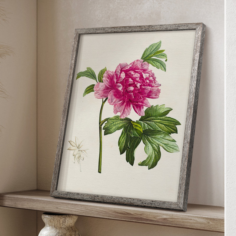 PrettyPinkBotanicalsI, reproduction encadrée - bois massif 2768828, H 11 po x l 9 po