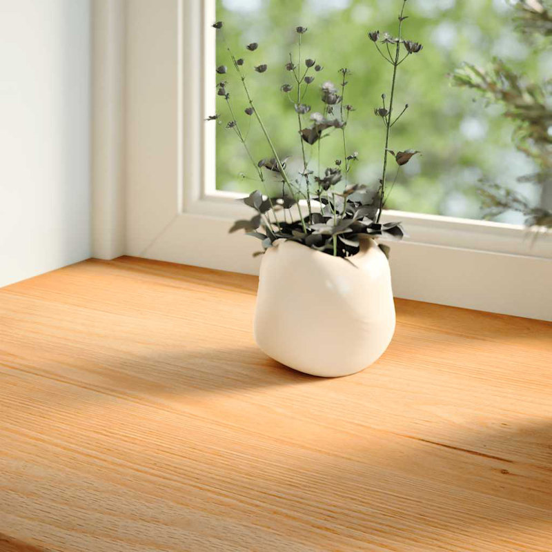 Appuis de fenêtre Vidaxl 2 pièces brun clair 27,6 x 11,8 x 0,8 po chêne massif